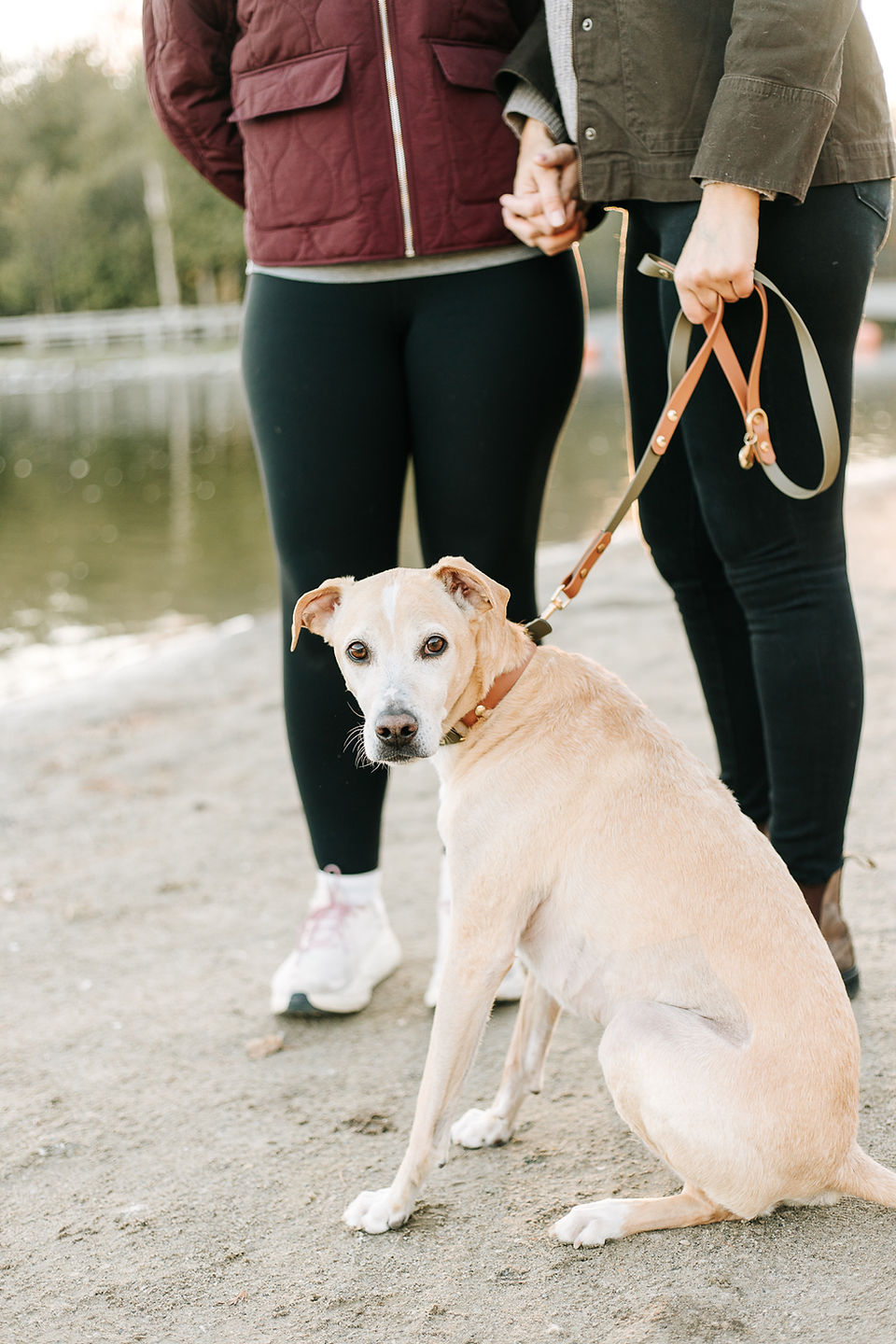 The bottom half of two woman as they hold hands and a dog sits between them