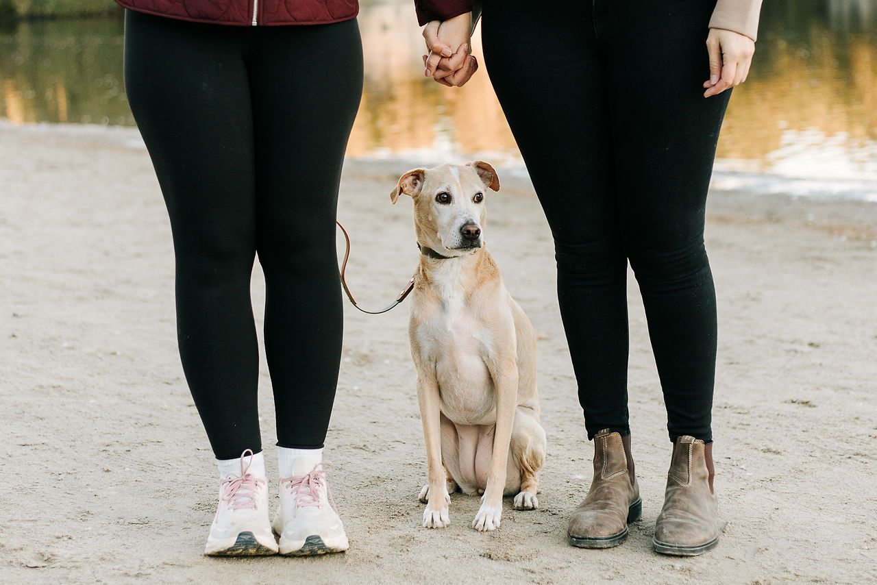 The bottom half of two woman as they hold hands and a dog sits between them