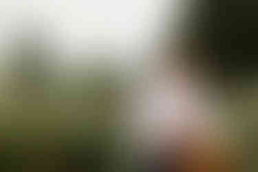 A woman holds a basket with flowers and stands in a field while she rests her head against a man's forehead