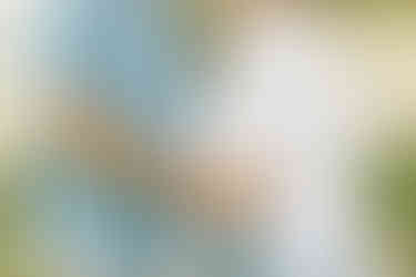 Up close of a man and pregnant woman's stomach