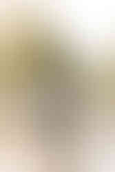 Two young boys stand in water and hug a woman and man by a beach