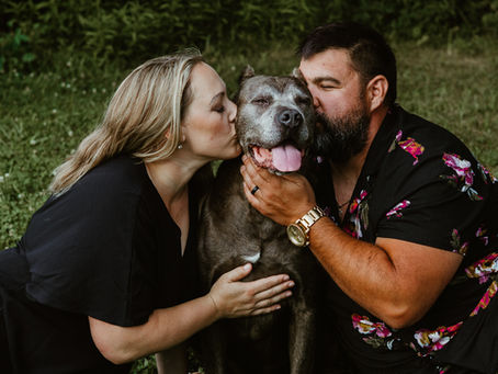 A woman and man sit on either side of a large dog and kiss his face as he smiles with his tongue hanging out
