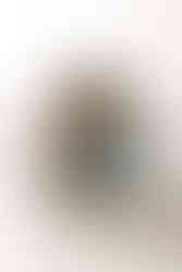 A man and woman sit on a couch and hold a newborn baby while a young boy stands in front of them and kisses the baby's head