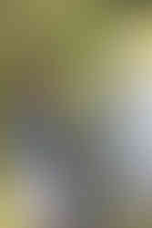 A woman stands on rocks by a stream and uses a tool to scoop water