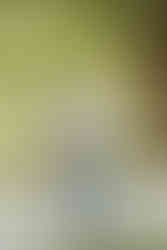 A man has two young boys in his arms as they laugh