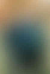 An older couple hug and hold hands on a grassy path under trees in the fall