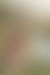 A woman in a pink dress kneels beside a labrador retreiver and pets her in a wild field