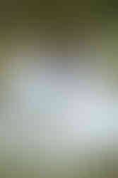 A pregnant woman and a man sit on a blanket on grass and read a baby book