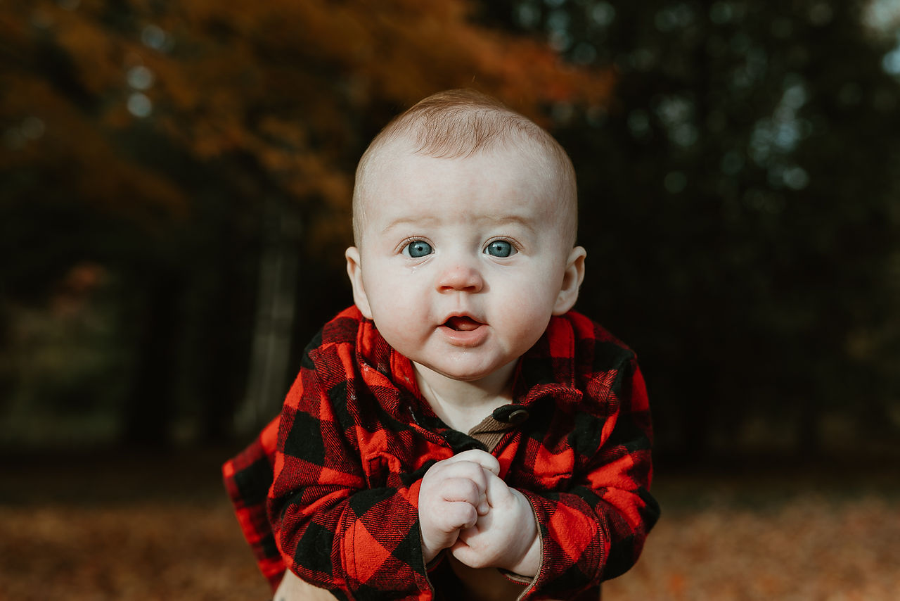 A baby in a red and black plaid dress is held up under an autumn tree