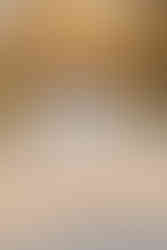 Two woman hold hands and walk down a path under trees