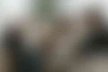 A family of five sit on a couch and look down at a cat in a young woman's arms