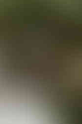 Two woman cuddle on a bench under a tree