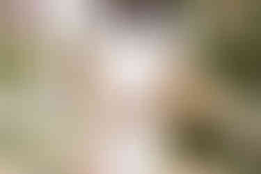 The torso of a pregnant woman in a white dress who is resting her hands under stomach and is surrounded by a large floral arrangement