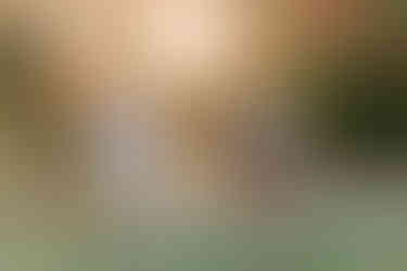 A man and woman hold hands with a young girl as the woman holds a toddler girl in her arms as they walk under autumn trees