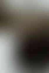 An older couple look at each other and smile as they walk in the snow amongst trees