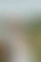 A man and woman hug as they stand in a grass field in front of a table with sunflower bouquets on it