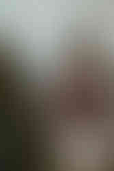 A man stands with a toddler boy on his shoulders beside a Christmas tree