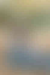 A man, woman and baby sit on a blanket on leaves in a aprk in autumn