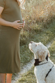 A dog sits and looks up at a pregnant woman standing in front of him