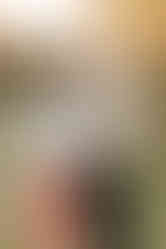 A man and woman hug and smile as they stand on a grass path by trees as the sun sets