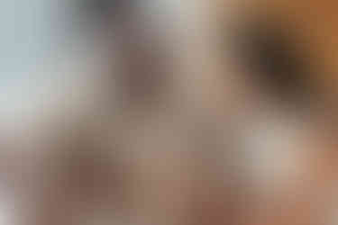 A man and woman sit beside each other on a bed while the man holds a small dog and the woman holds a newborn baby in her arms that they look at