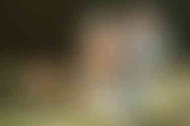 An older man holds a one year old girl and smiles as an older woman stands next to them and rests her hand on the girl as they stand amongst flowers