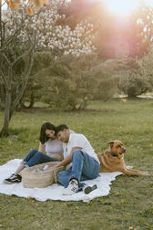 A woman and man sit on a blanket in a park and look down at a baby in a bassinet as a dog sits beside them