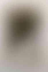 A man, woman and boy stand in front of a iron fence as the man holds another boy in his arms