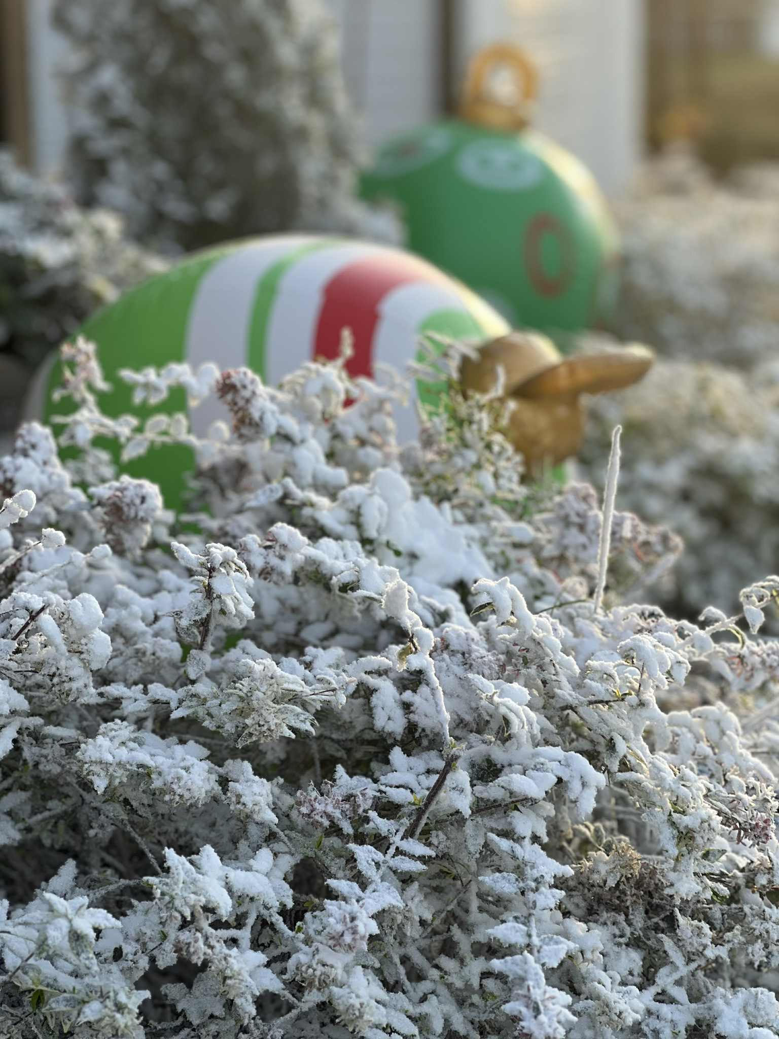 THE JACK FROST EXPERIENCE