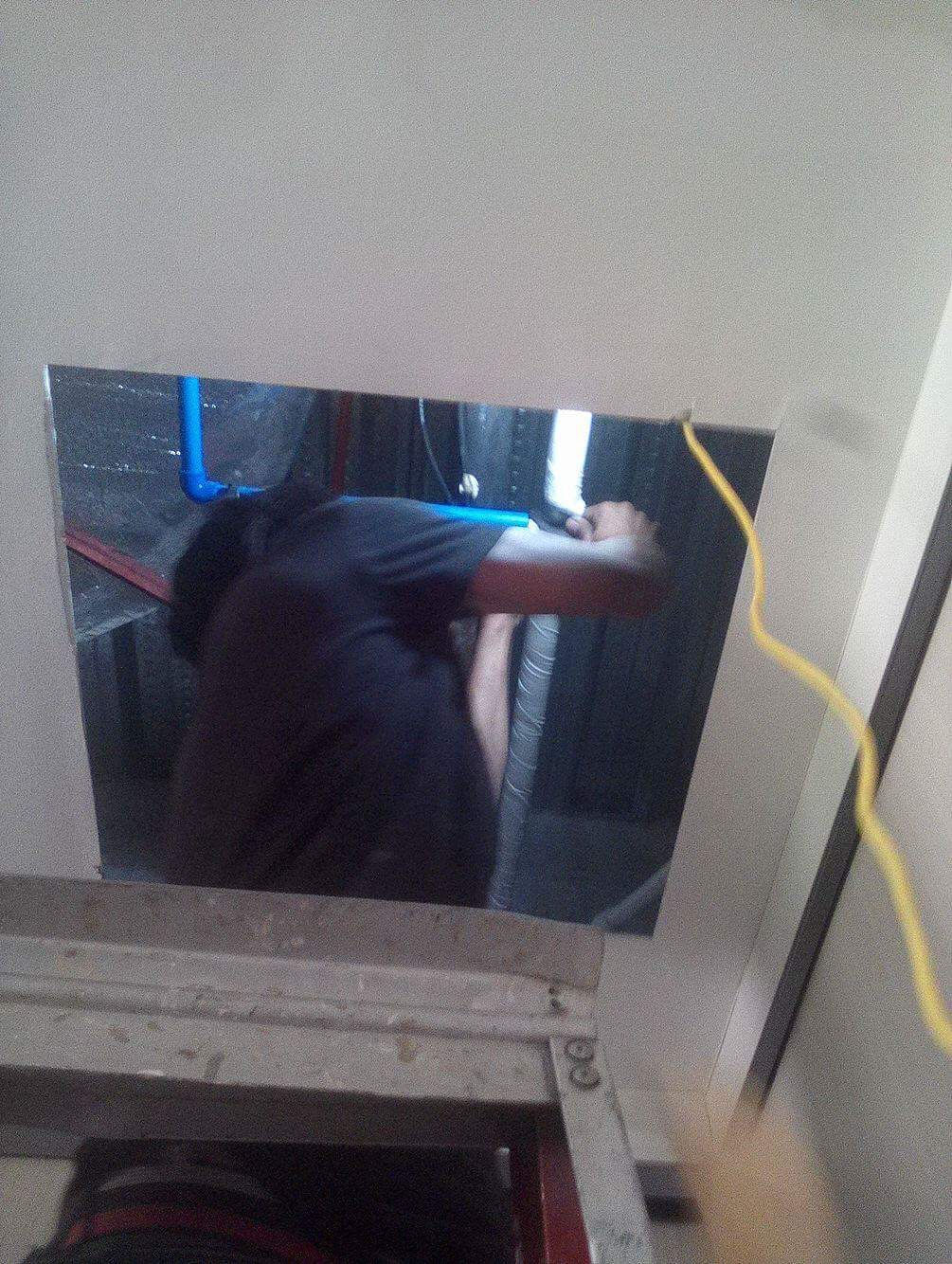 Survey/ ocular inspection