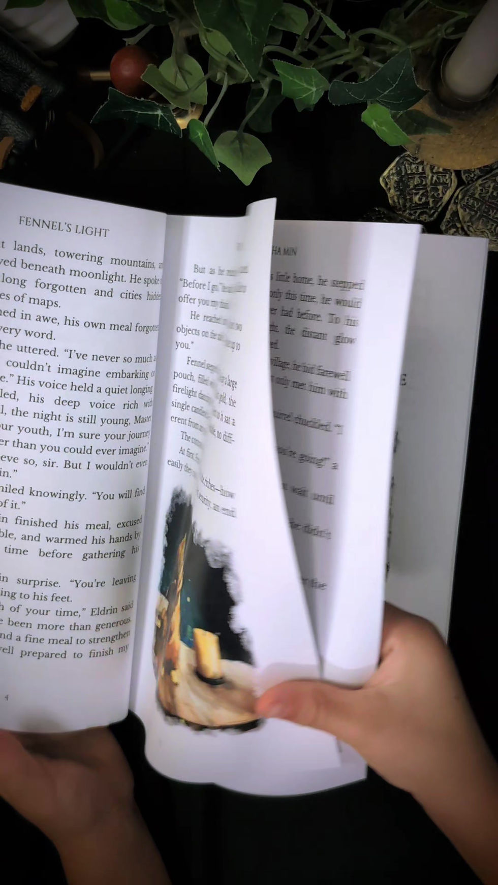 Thumbnail: Fennel's Light (Signed Paperback)