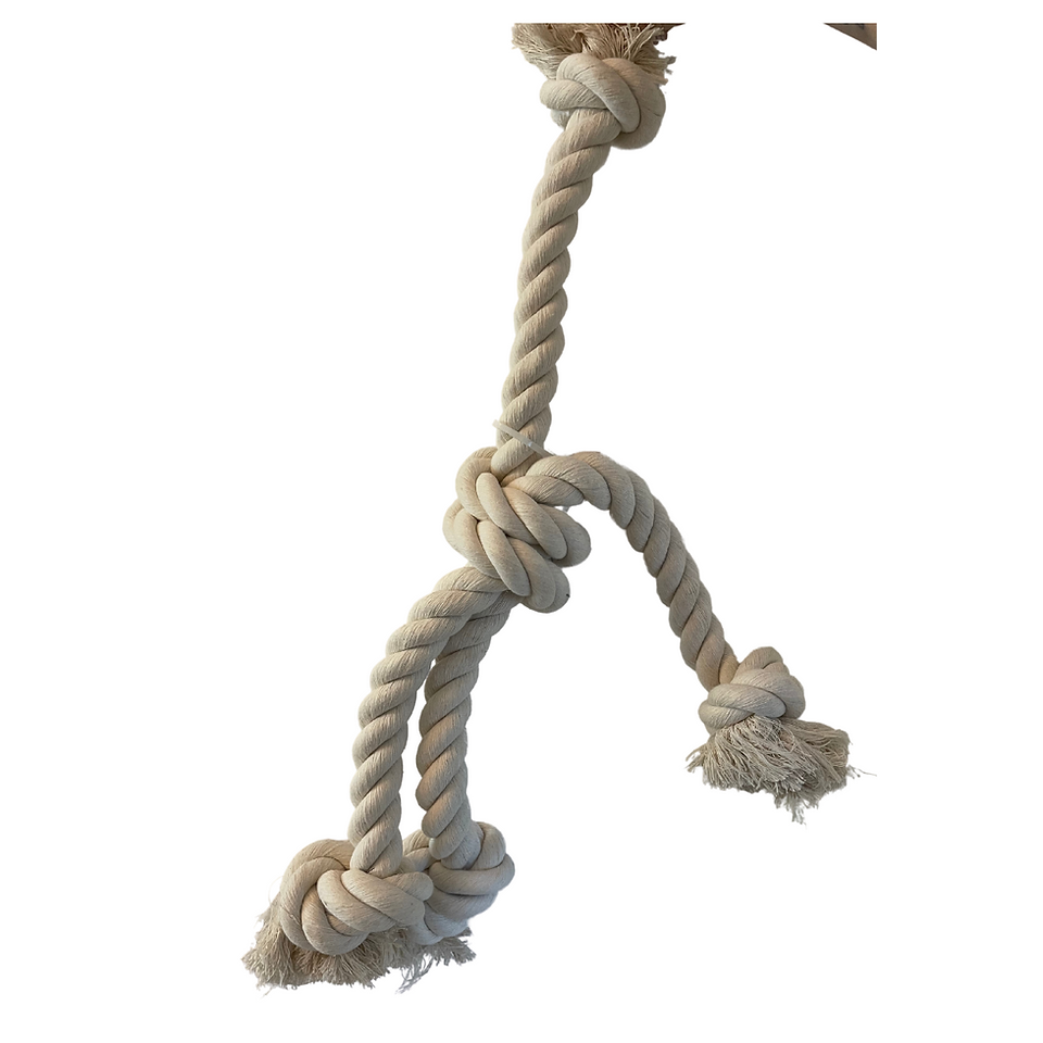 Dog Toy 2
