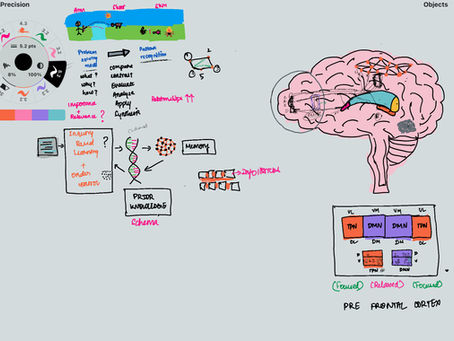 TPN, DMN, OCD, Flow, Memory Relationship.