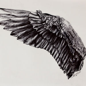 Wings
