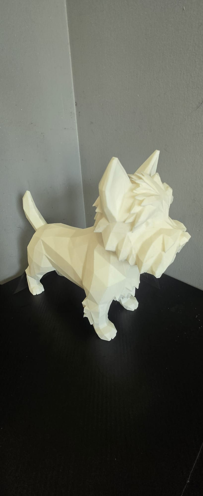 westie
