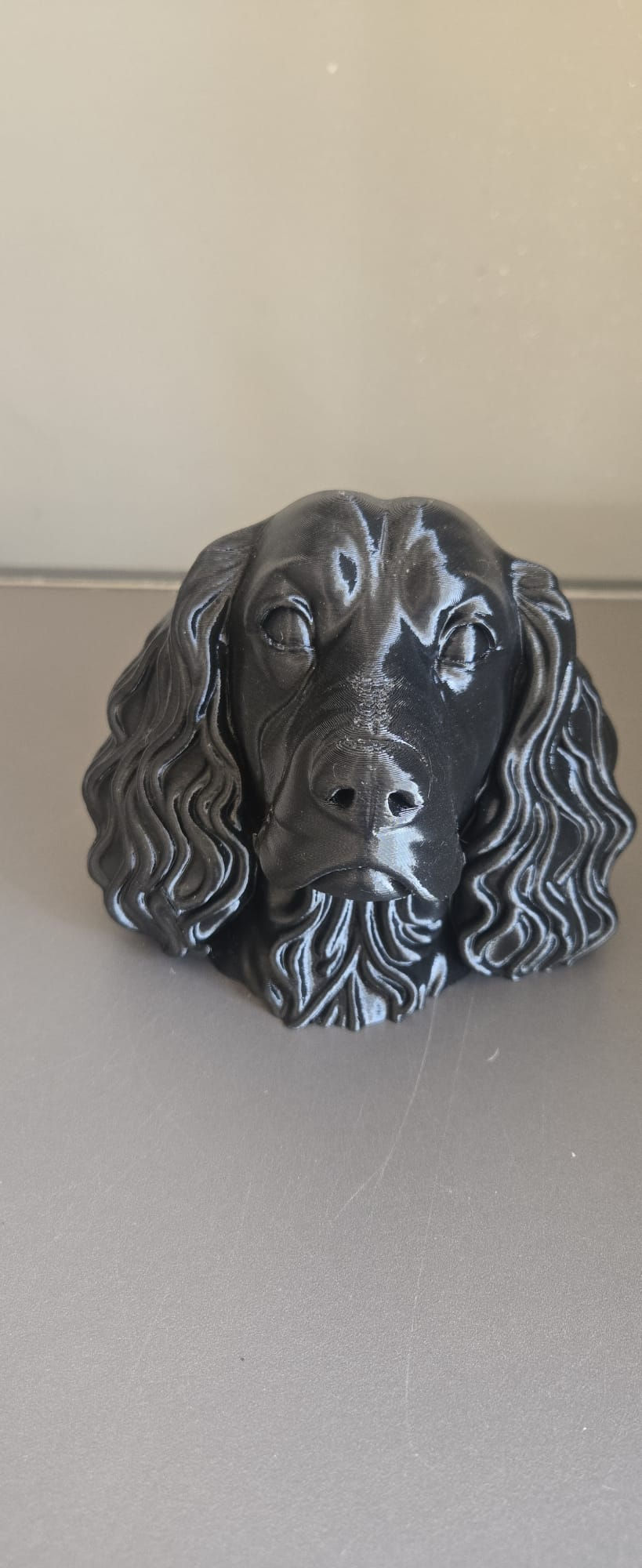 Spaniel wall mounted