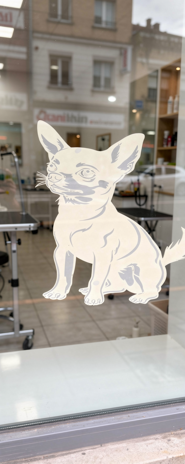 Thumbnail: Chihuahua