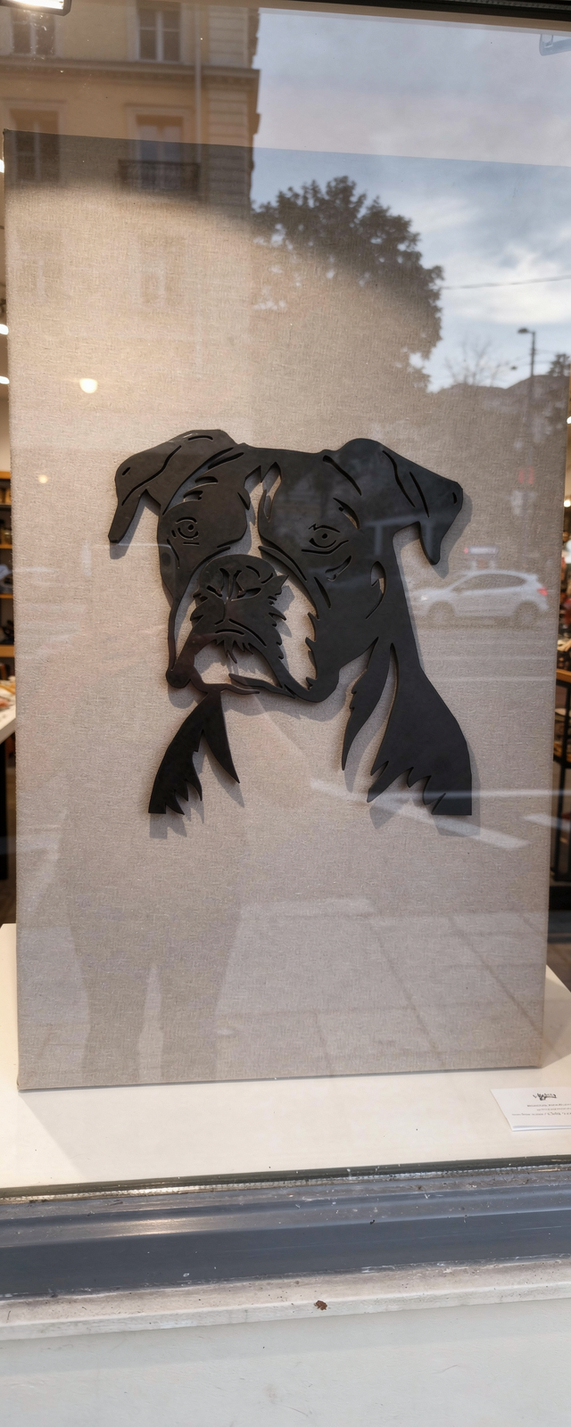 boxer