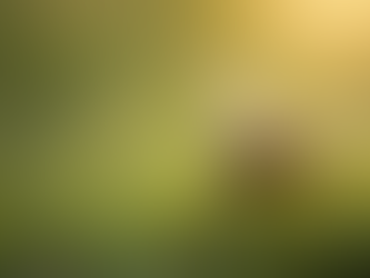 Voordelen van L-terebilium: Wat het is en hoe het werkt