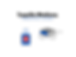 1a.png