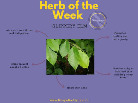 Herb of the Week