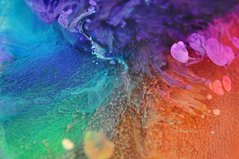 Thumbnail: Petri Disc - Rainbow (#6101)