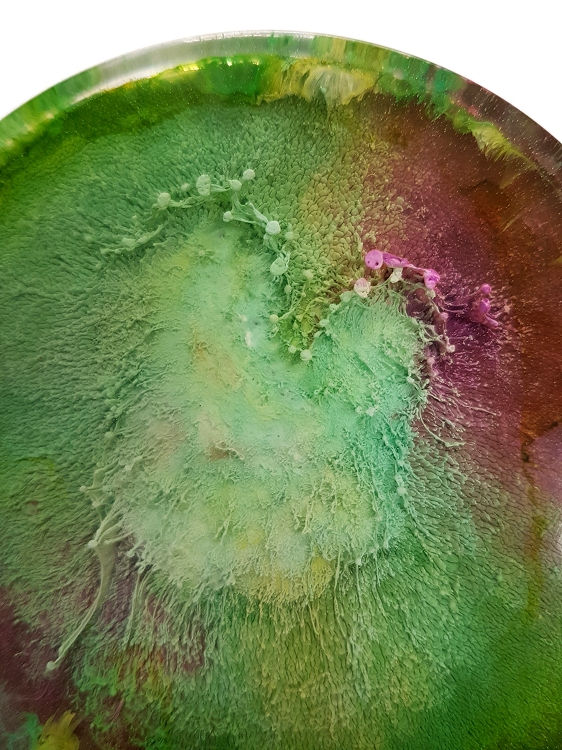 Thumbnail: Petri Disc - Green (#6103)