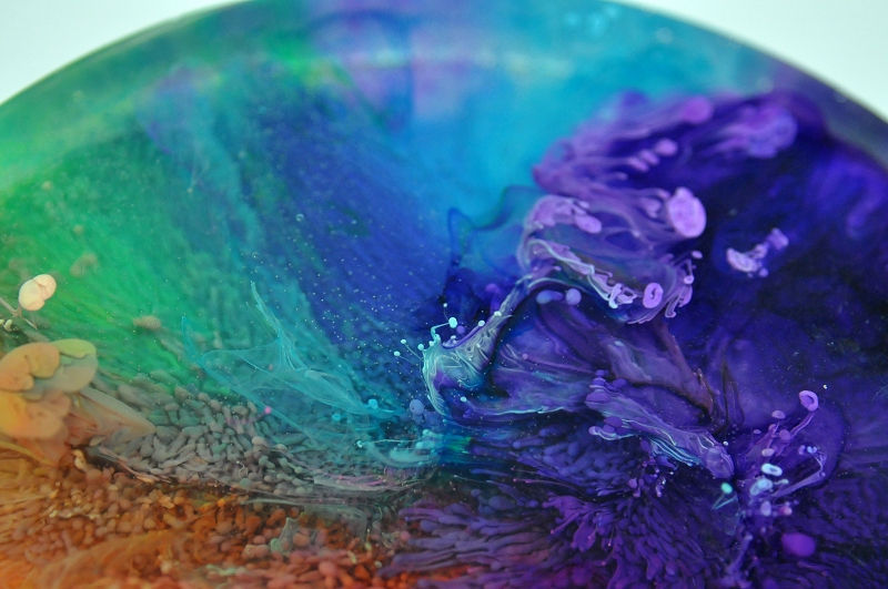 Thumbnail: Petri Disc - Rainbow (#6101)