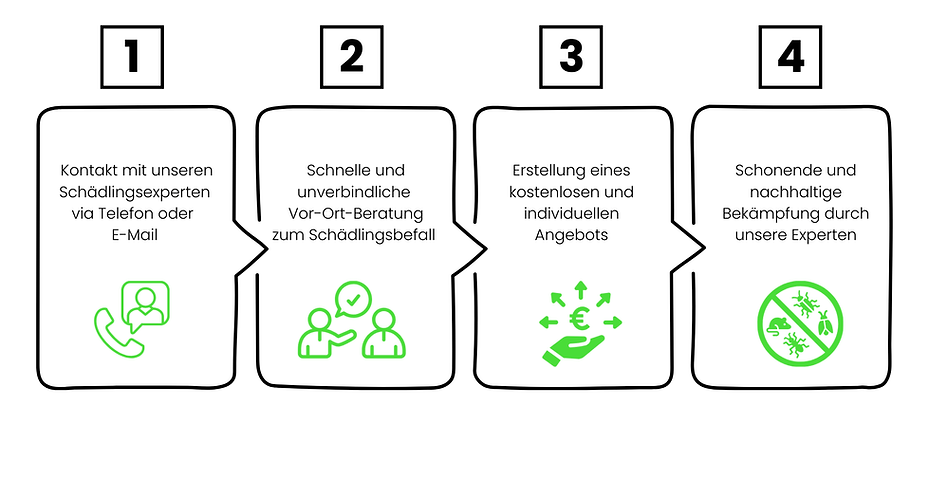 Ablauf der Beauftragung