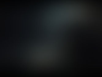 Ratten um und in einer Mülltonne