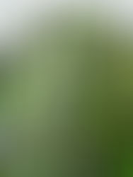 Imagine 2200 Grist Story Submission