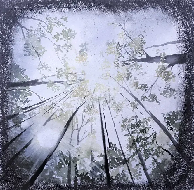 Arbre, forêt, frondaison.
Aquarelle, pastel
illustration