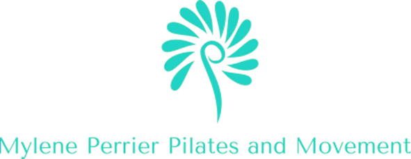 Logo-1693353258104_edited.png