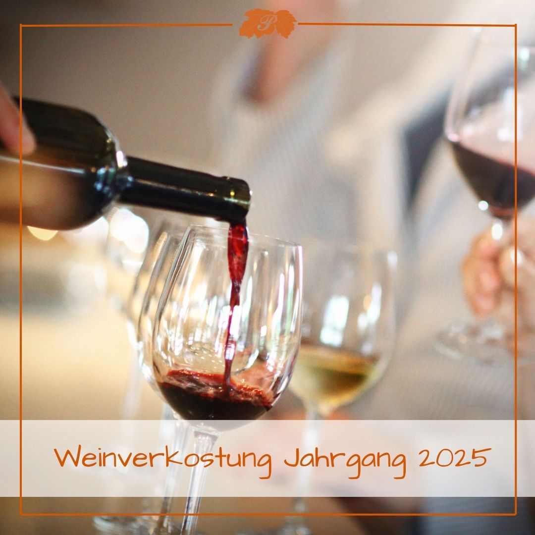 Weinverkostung Jahrgang 2025 am Weingut & Buschenschank Pölzl in Großklein, Südsteiermark